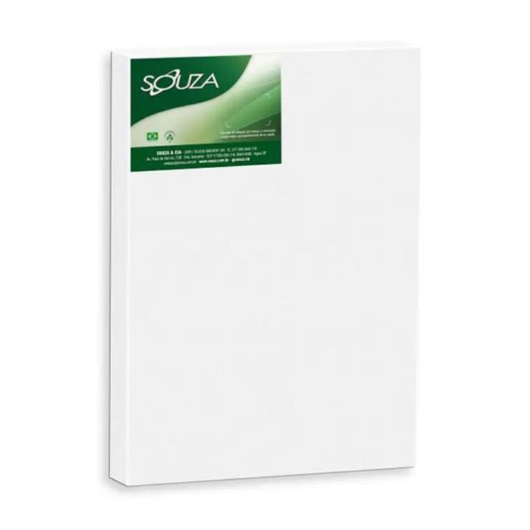 TELA P/ PINTURA 20 X 30 P/ PINTURA 20 X 30 8103 SOUZA CIA UND