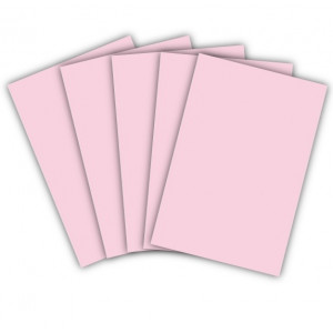 PASTA CARTOLINA VINCADA ( DOBRADA ) 180 GRS CORES PAPELBRAS UND
