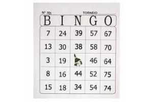 BLOCO DE BINGO 100 FLS NUMERADO TAMOIOS UND