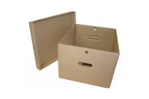 CAIXA ORGANIZADORA PAPELAO MED. CAP. 29,7 LTS 6111 POLYCART UND