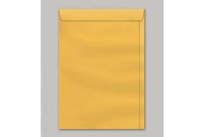 ENVELOPE SACO OURO 20 X 28 80 GRS UND  