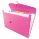 PASTA SANFONADA C/12 DIV 330 X 240MM 658PP-RS ROSA DAC UND                                                                                                                                                                                                     