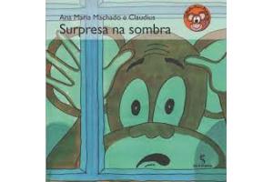 LIVRO SURPRESA NA SOMBRA SALAMANDRA UND