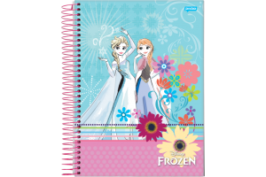 Caderno capa dura universitário 96 folhas Frozen 61819 Jandaia unid.