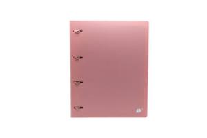 FICHARIO UNIV 2 ARG R2S NEW LINE TRANSP YES UND 