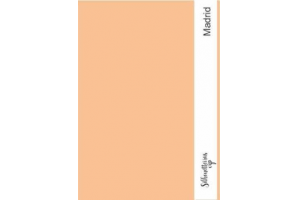 PAPEL COLOR PLUS A4 210 X 297 180GRS MADRID SALM