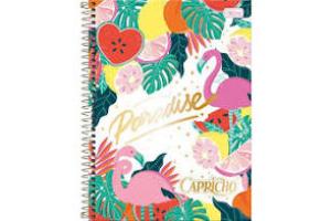 CADERNO C/D UNIV. 10 X 1 160 FLS CAPRICHO 30.846-3 TILIBRA UND