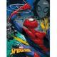 CADERNO BROCHURÃO TIPO ATA 14113-5 SPIDER MAN ( 96 FOLHAS ) UND -  TILIBRA